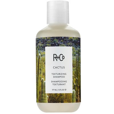 Текстурирующий шампунь Кактус R+Co Cactus Texturizing Shampoo 177 мл R1SHTEX08B1 фото